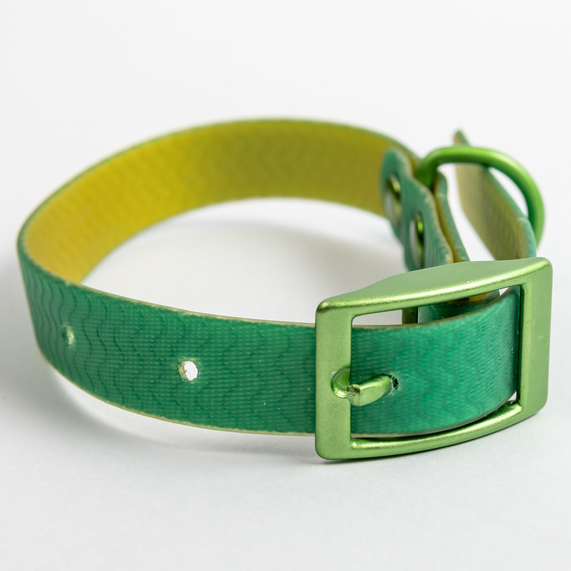Jelly Waterproof Dog Collar - Green - Front