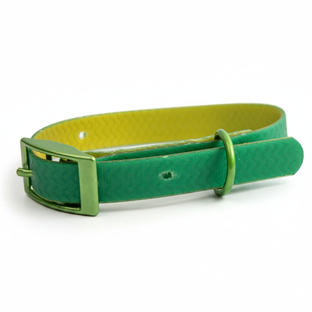 Jelly Waterproof Dog Collar - Green - Side