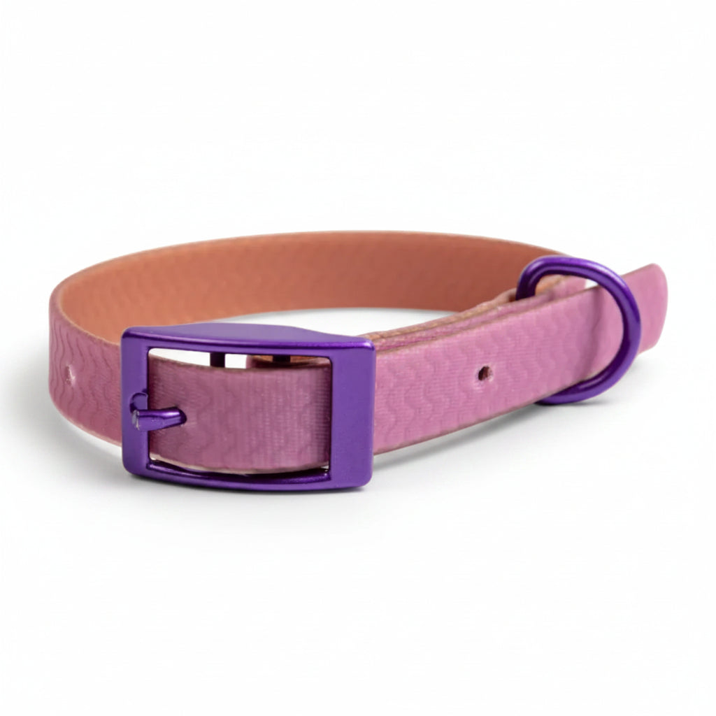 Jelly Waterproof Dog Collar - Purple - Front