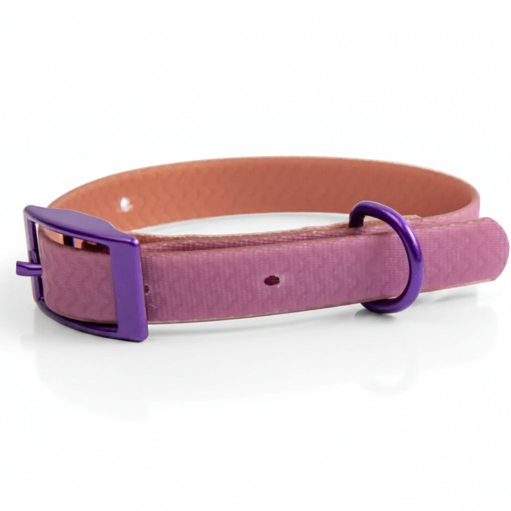 Jelly Waterproof Dog Collar - Purple - Side