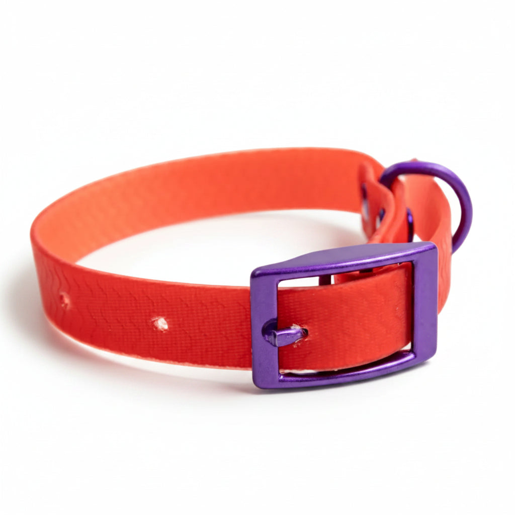 Jelly Waterproof Dog Collar - Red - Front
