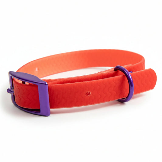 Jelly Waterproof Dog Collar - Red - Side