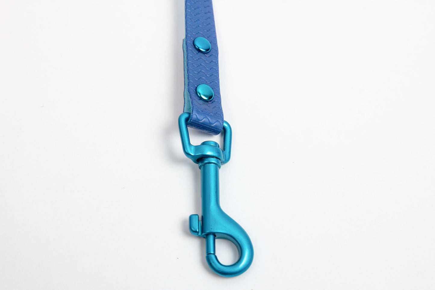 Jelly Waterproof Dog Leash - Blue - Detail - Snap Hook