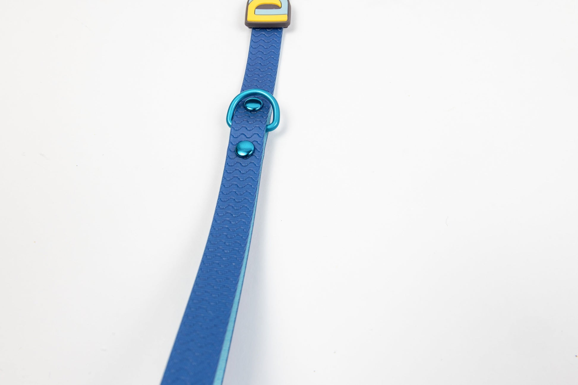 Jelly Waterproof Dog Leash - Blue - Detail - Texture