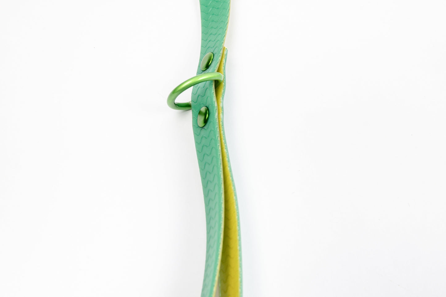 Jelly Waterproof Dog Leash - Green - Detail - D-Ring