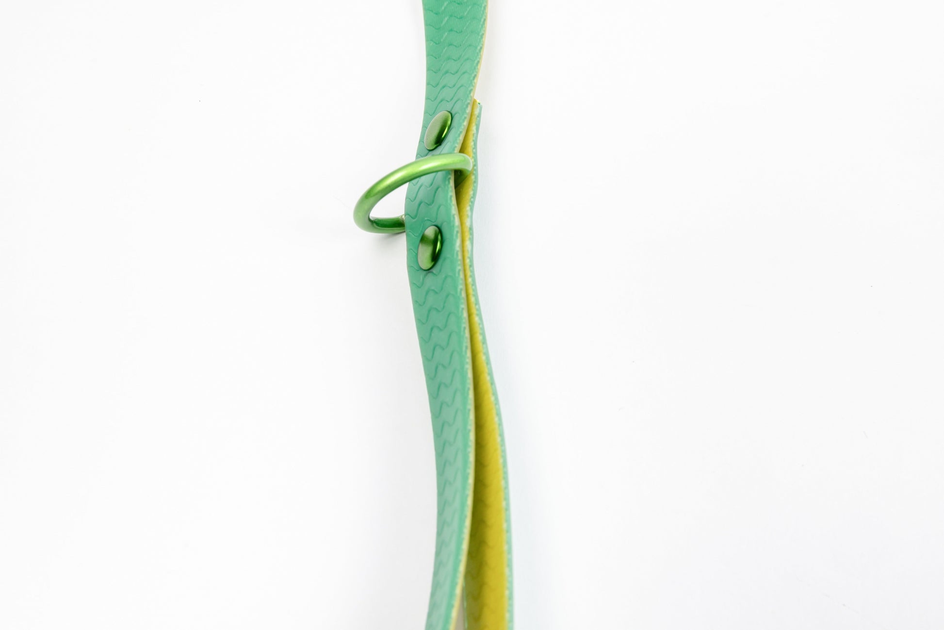 Jelly Waterproof Dog Leash - Green - Detail - D-Ring