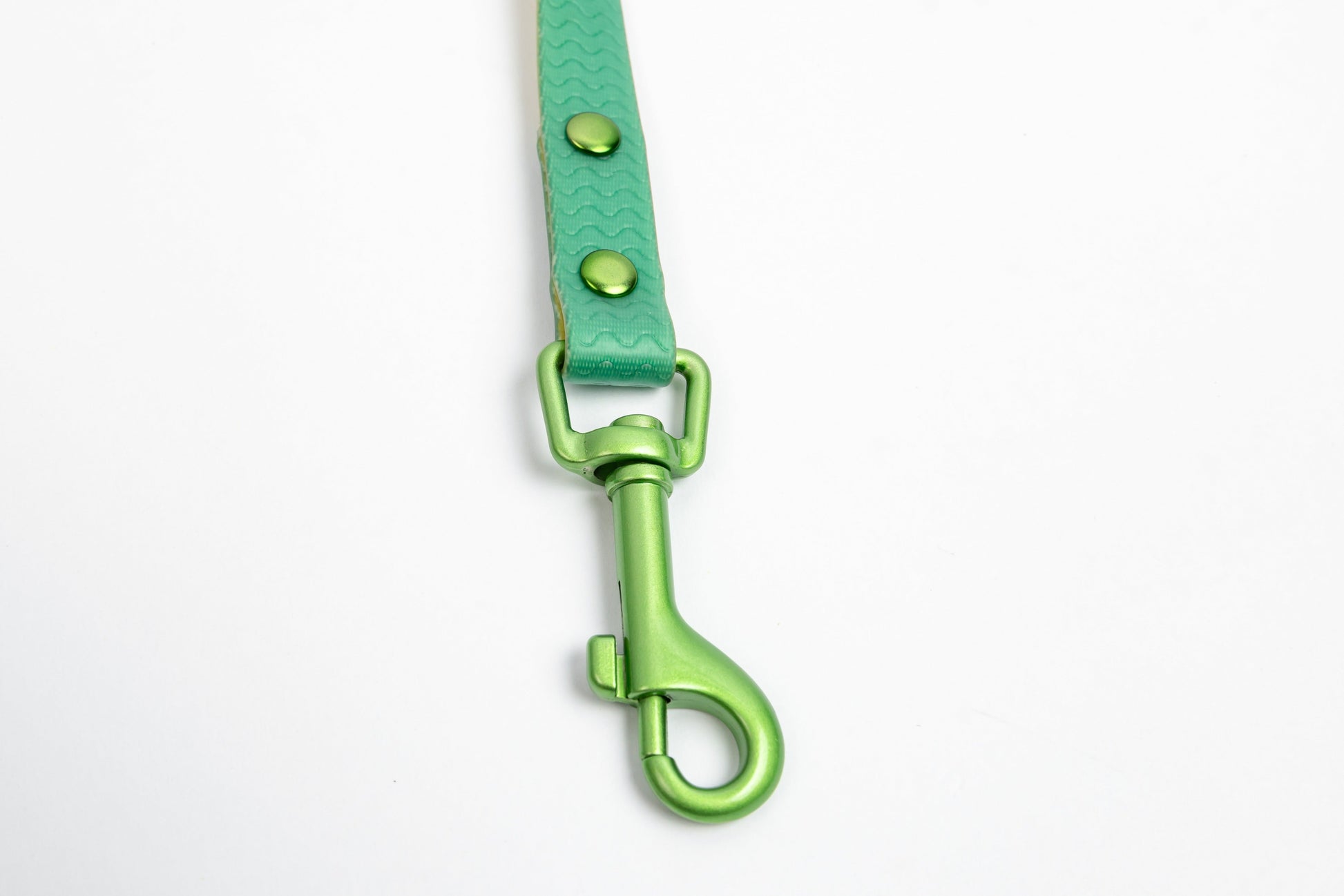 Jelly Waterproof Dog Leash - Green - Detail - Snap Hook