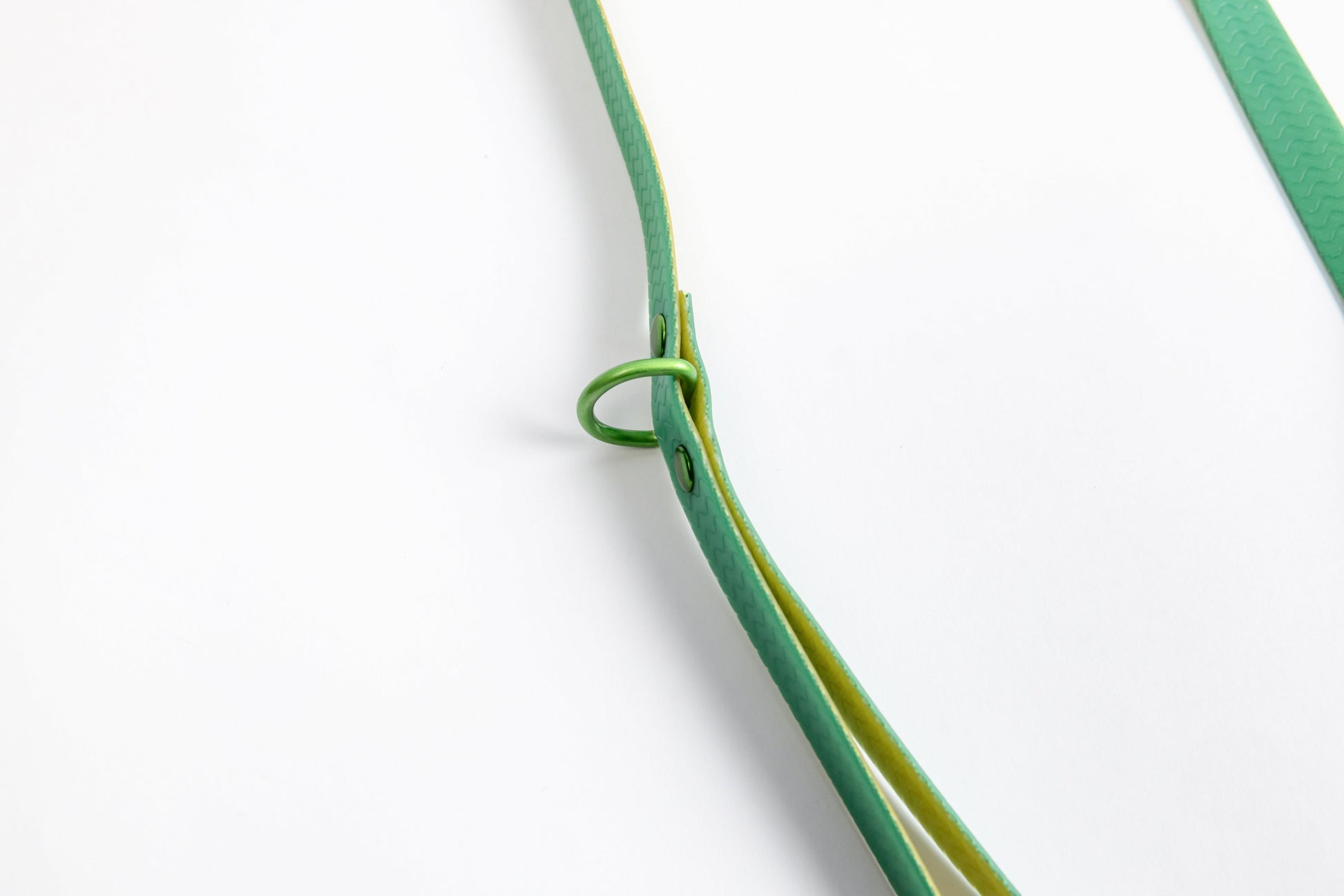 Jelly Waterproof Dog Leash - Green - Feature - D-Ring