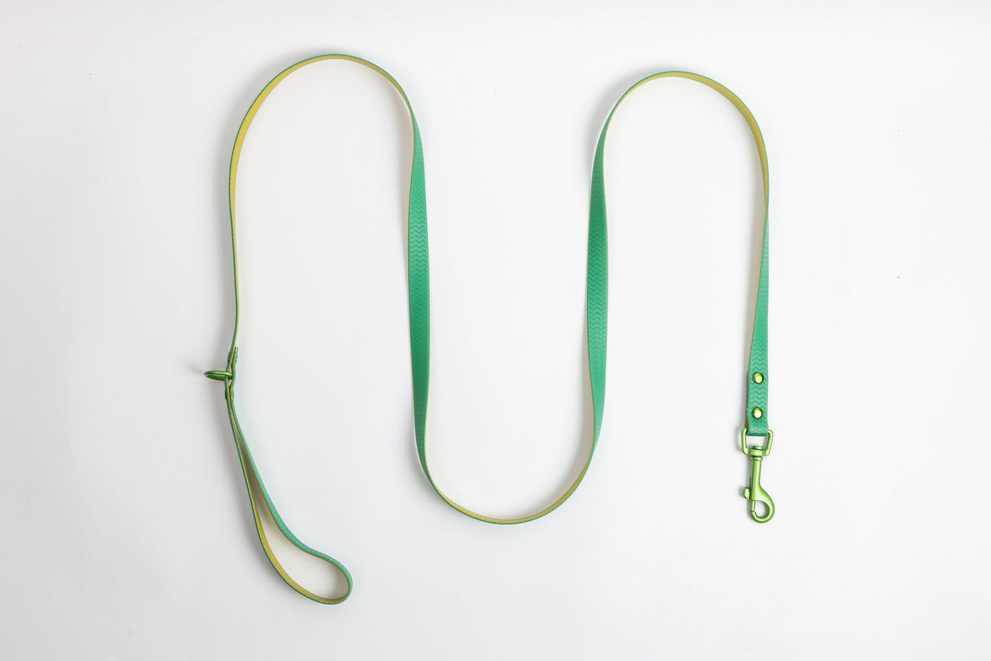 Jelly Waterproof Dog Leash - Green - Flat Lay