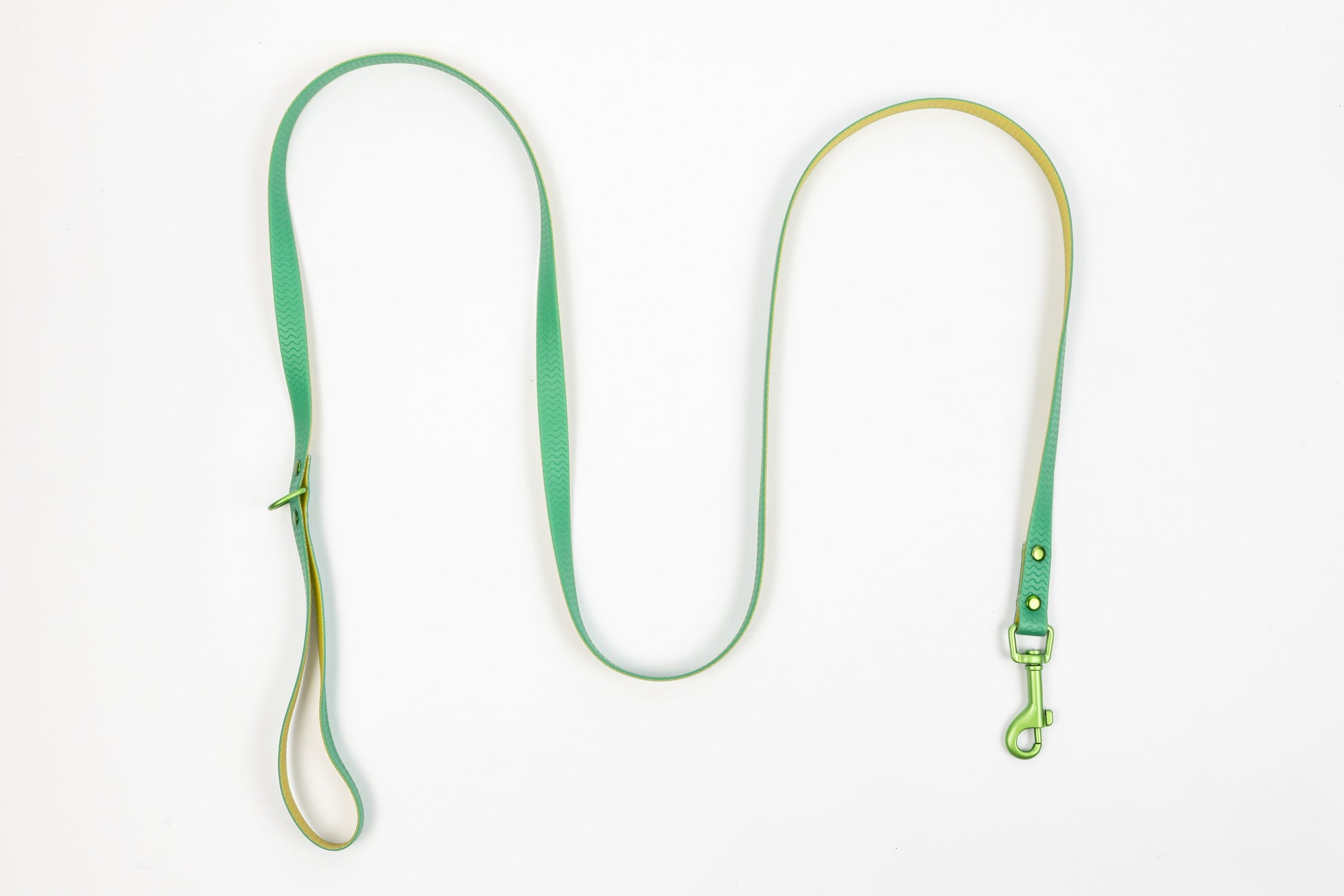 Jelly Waterproof Dog Leash - Green - Top