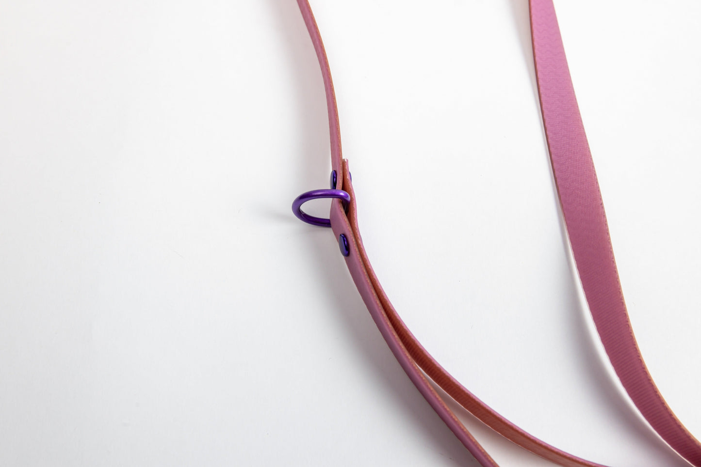 Jelly Waterproof Dog Leash - Purple - Detail - D-Ring