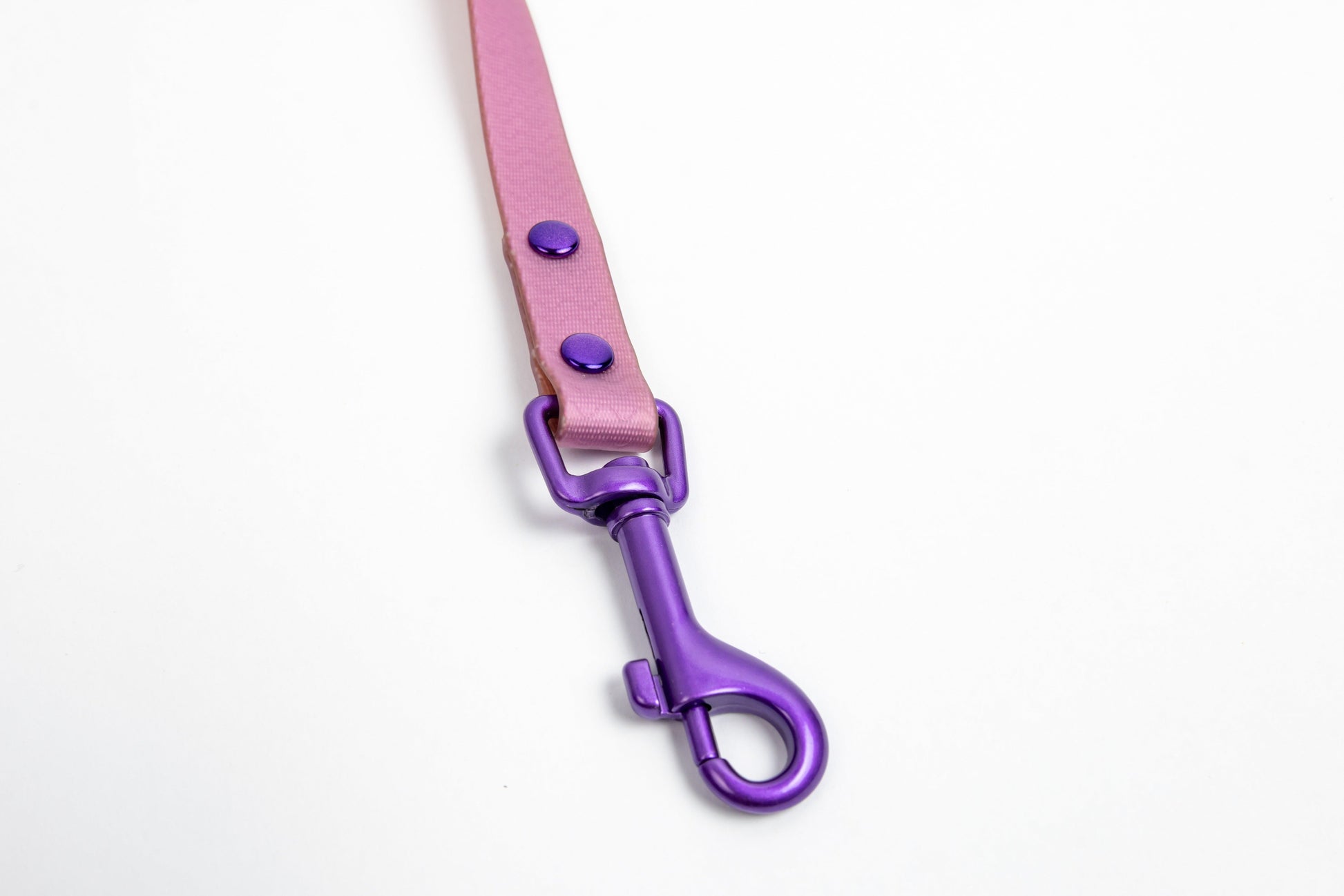 Jelly Waterproof Dog Leash - Purple - Detail - Snap Hook