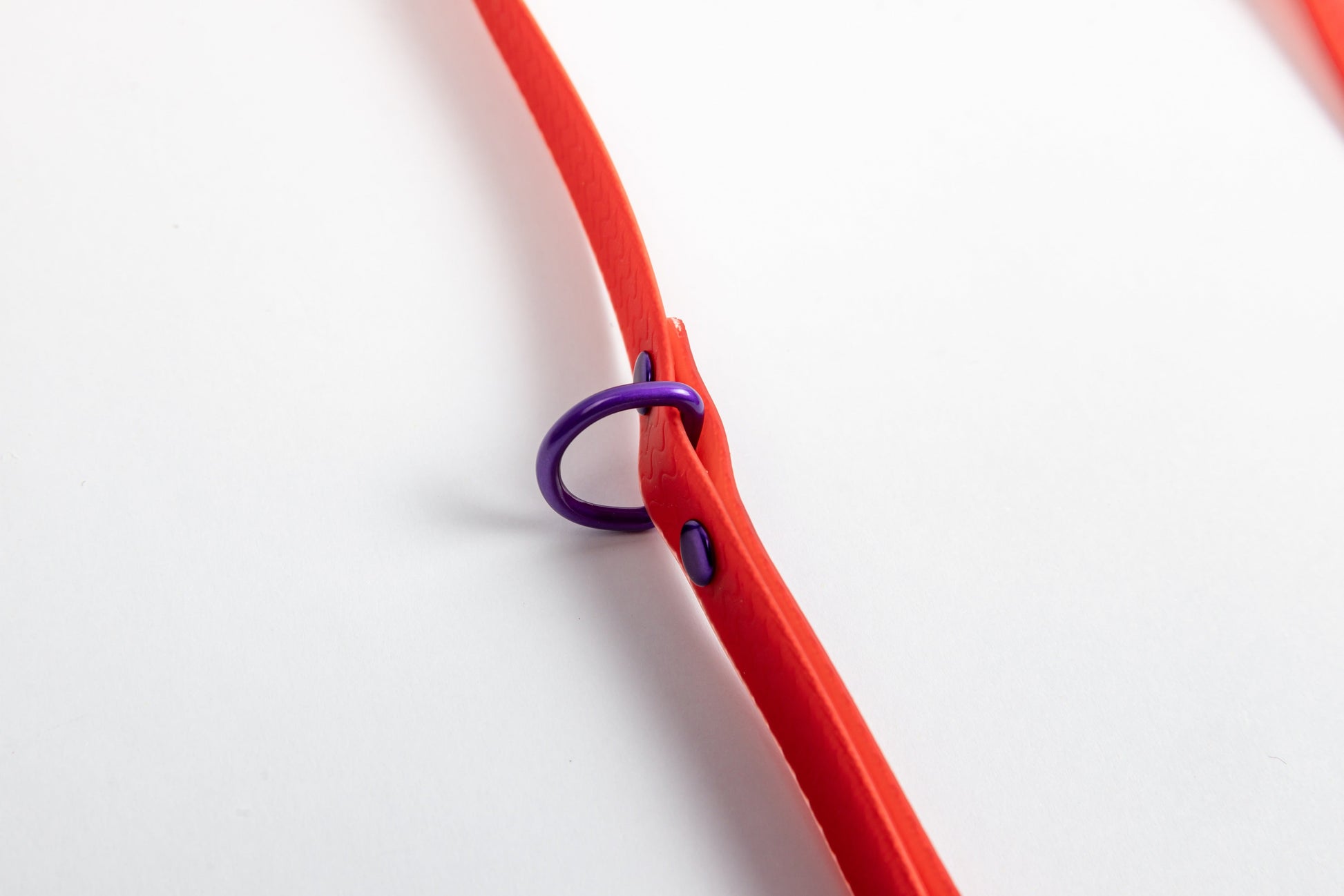 Jelly Waterproof Dog Leash - Red - Detail - D-Ring