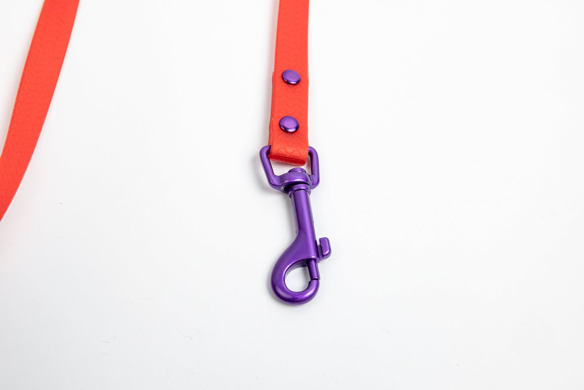 Jelly Waterproof Dog Leash - Red - Detail - Snap Hook