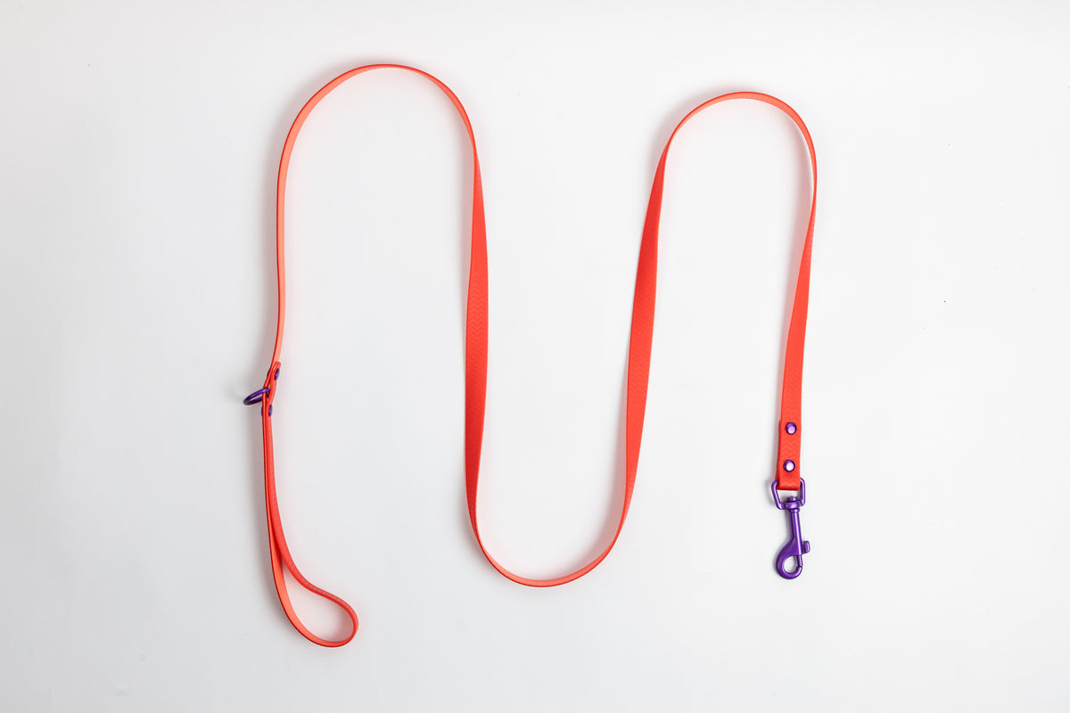 Jelly Waterproof Walk Set