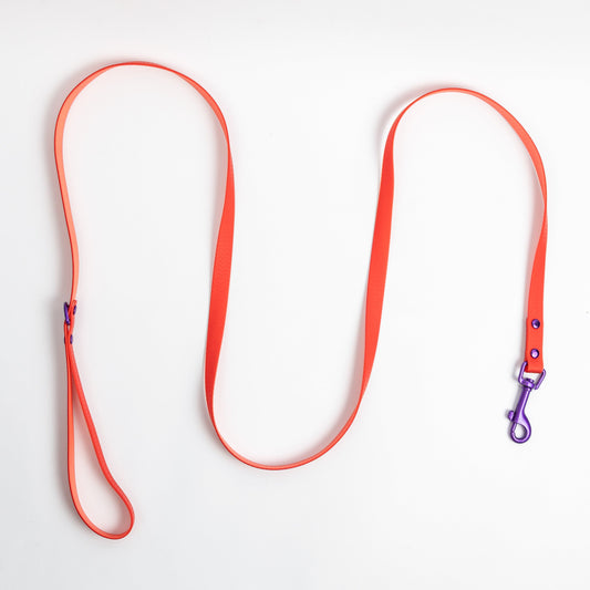 Jelly Waterproof Dog Leash - Red - Top