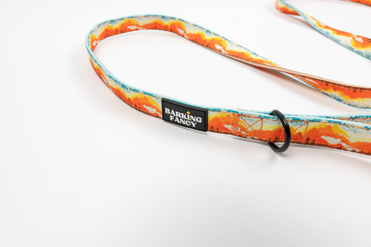 Mountainscape Canvas Dog Leash - Orange - Detail - D-Ring