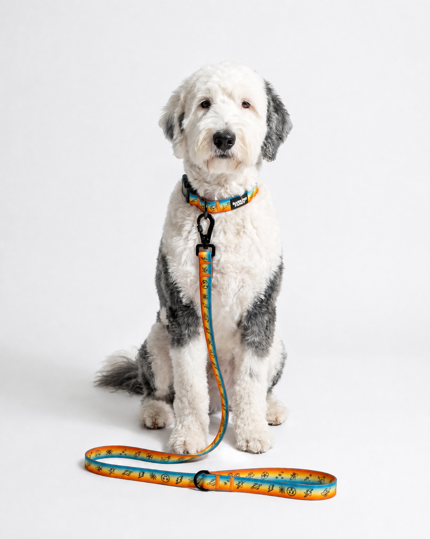 Doodles Print Waterproof Dog Leash - 2 Colors