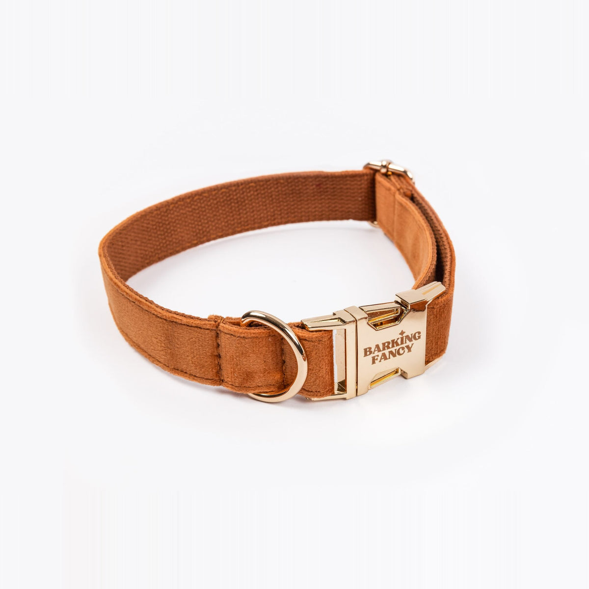 Caramel Signature Velvet dog collar front view