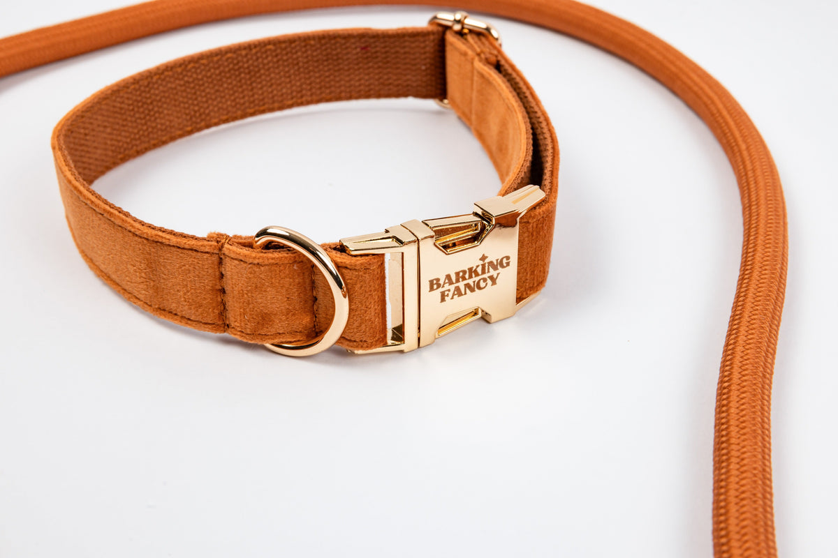 Caramel Signature Velvet collar logo buckle detail