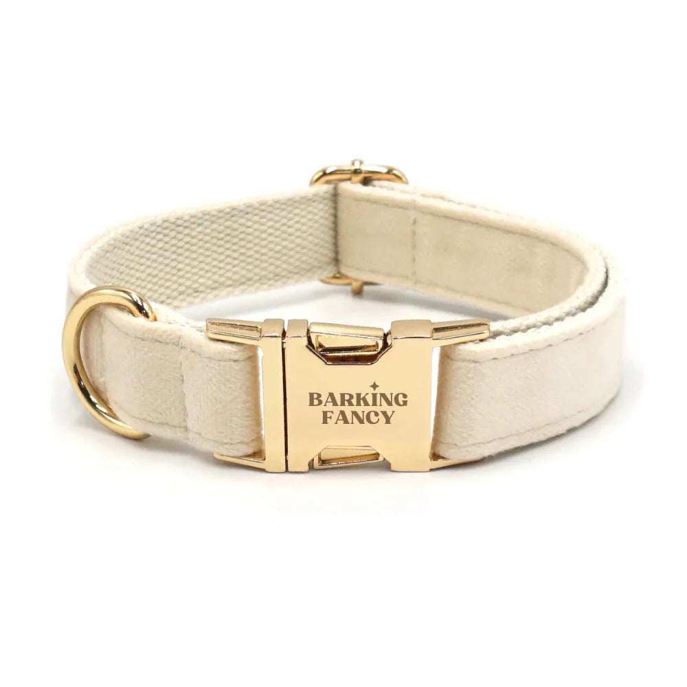 Creamy beige dog collar with gold buckle and 'Barking Fancy' engraving on a white background