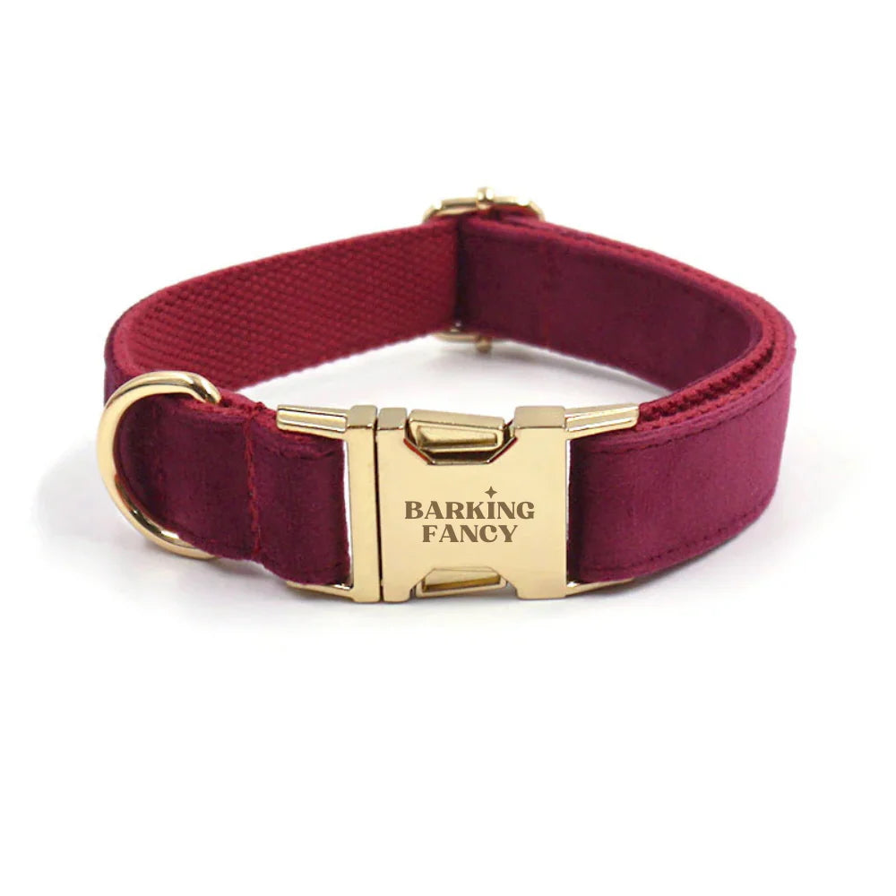Burgundy velvet dog collar with gold hardware on a white background