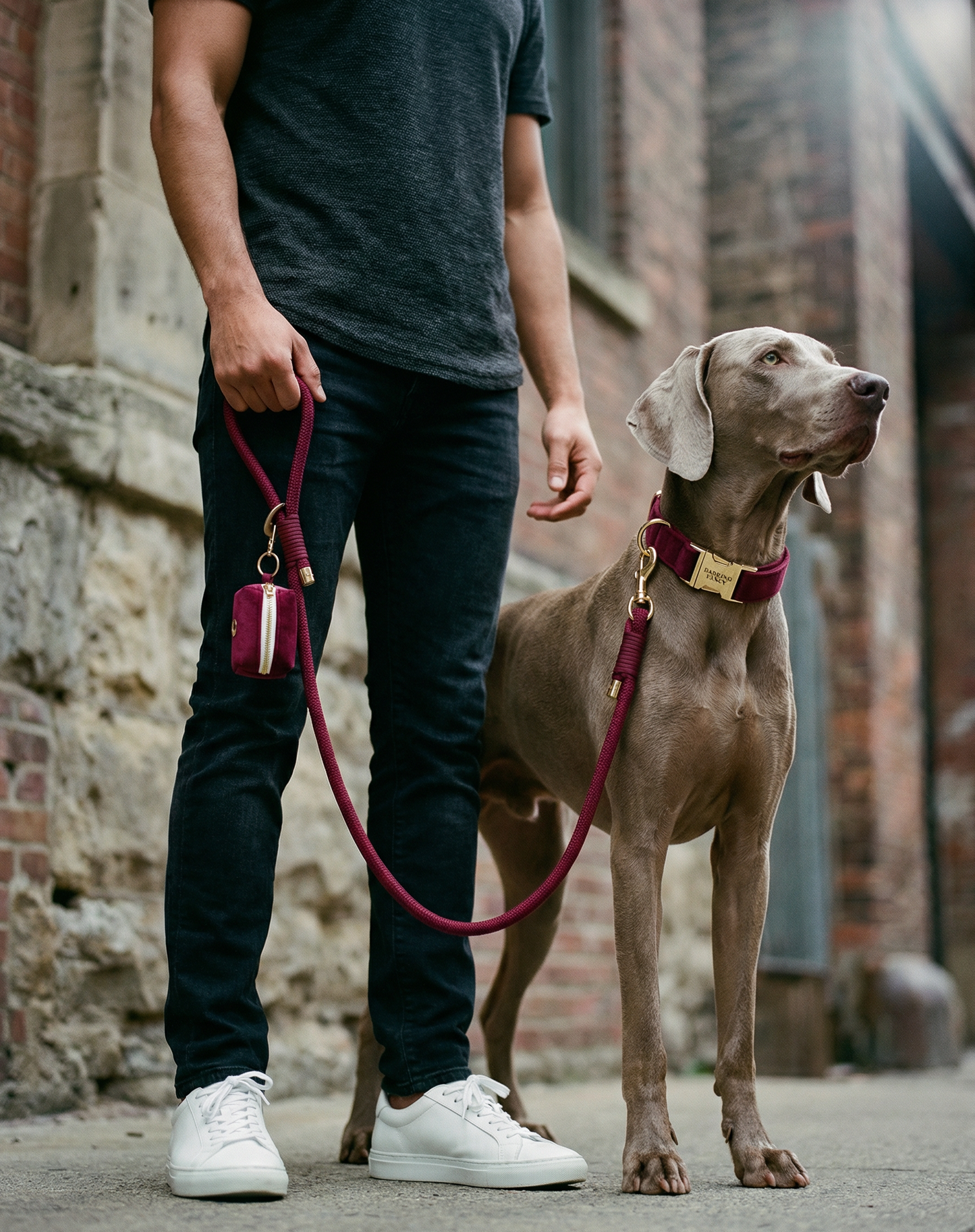 Person holding a burgundy rope dog leash with a dog standing next to them in a matching burgundy velvet dog collar with gold hardware