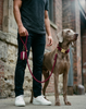 Person holding a burgundy rope dog leash with a dog standing next to them in a matching burgundy velvet dog collar with gold hardware