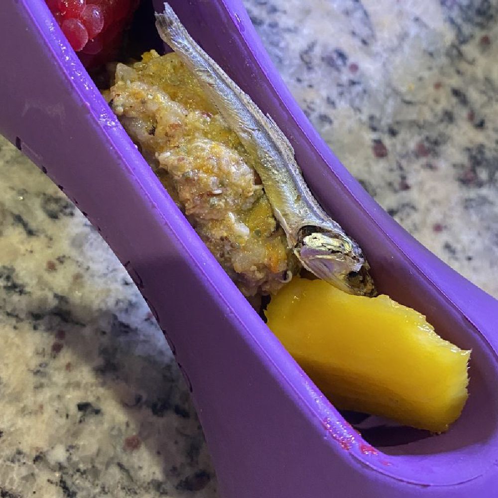 Freezstick - Indestructible Enrichment Chew