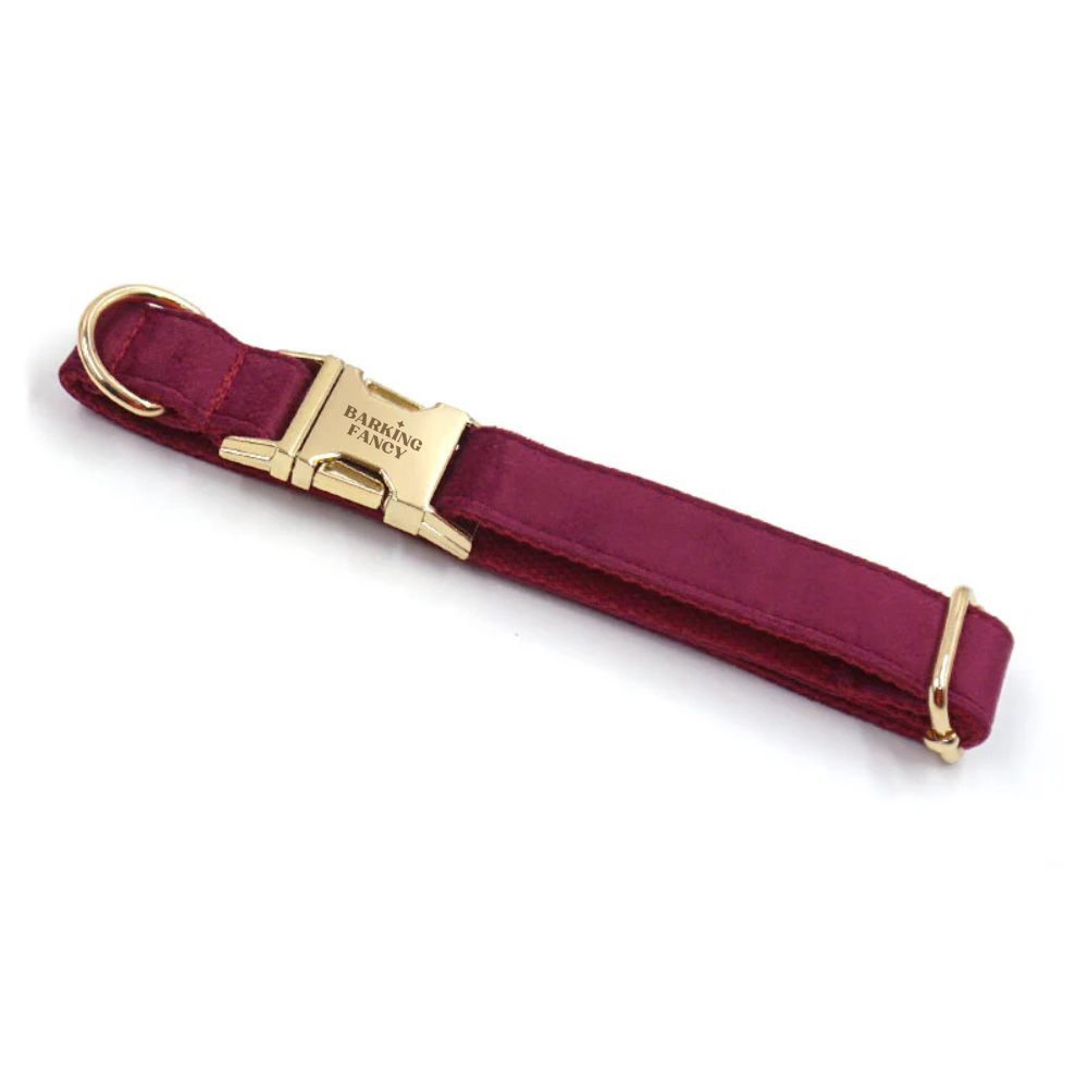Burgundy velvet dog collar with gold hardware on a white background