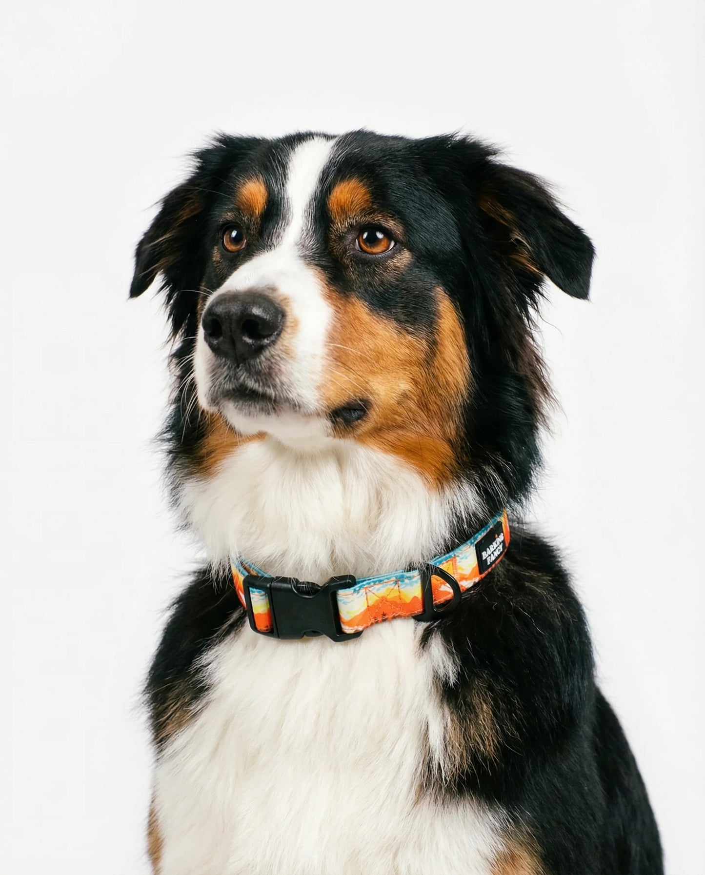 Mountainscape Dog Collar - 2 Colors