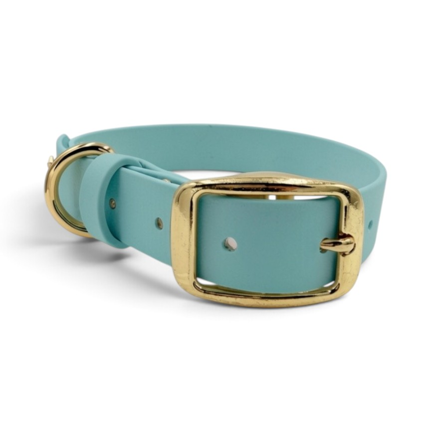 Dusty turquoise BioThane belt collar with gold hardware and matching keeper, front view; edited color example