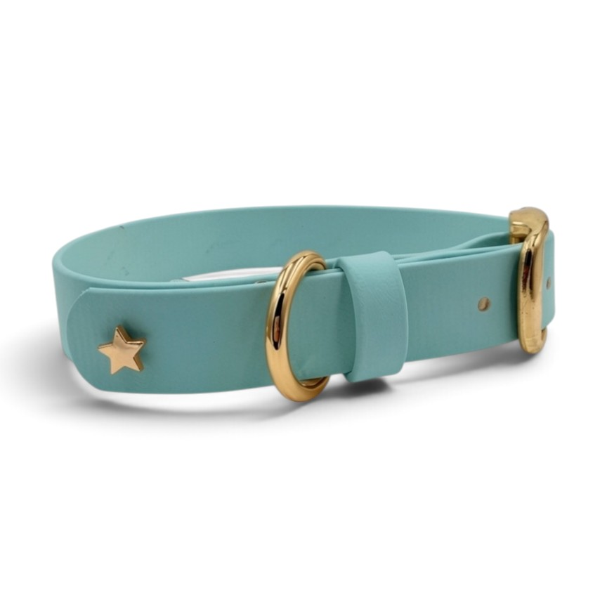 Dusty turquoise BioThane belt collar with gold hardware and matching keeper, side view; edited color example