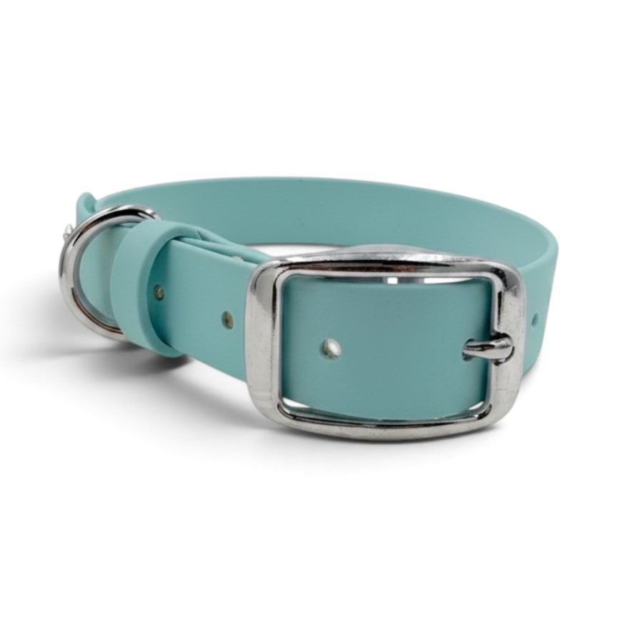 Dusty turquoise BioThane belt collar with silver hardware and matching keeper, front view; edited color example
