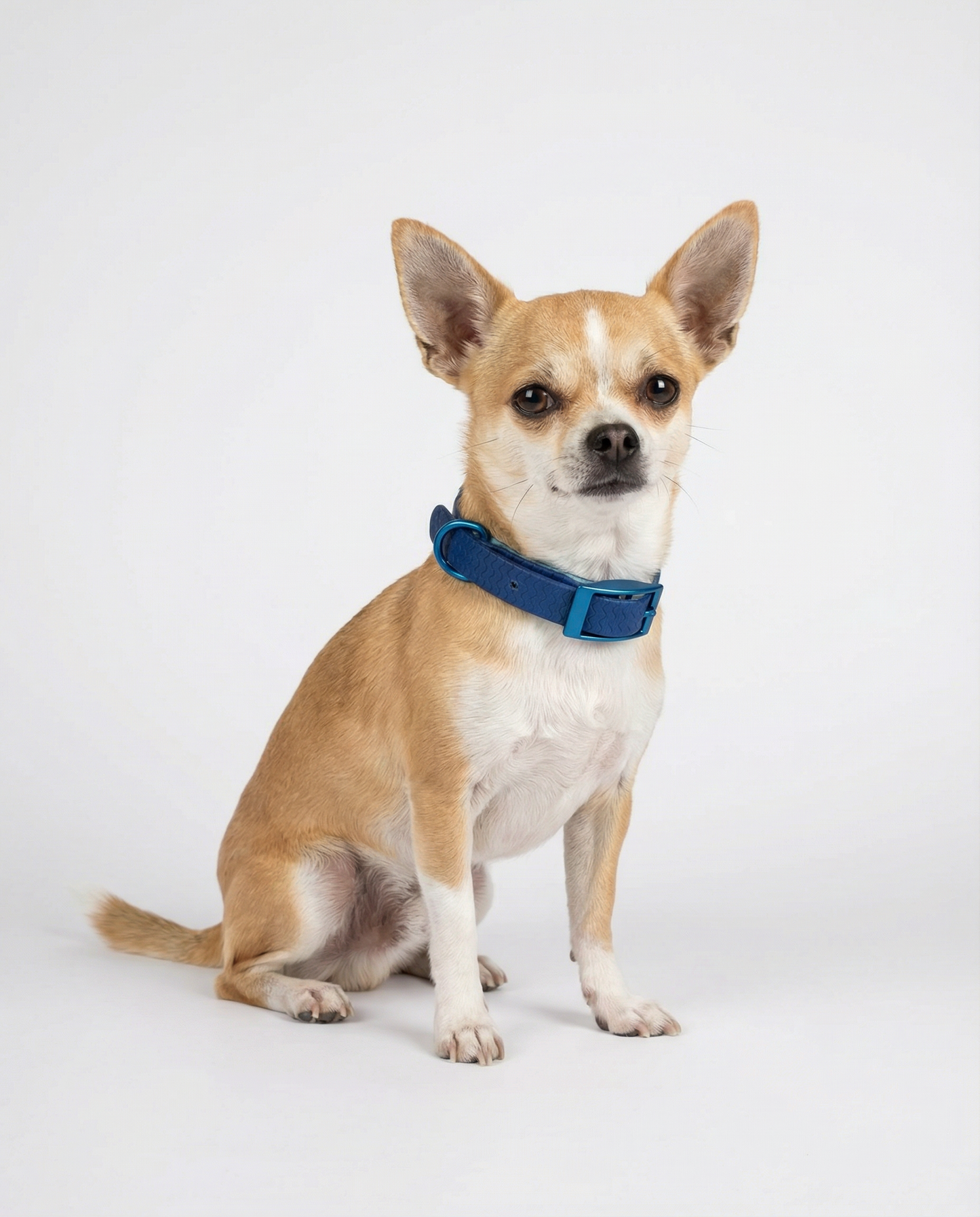 Red Jelly Collar - Waterproof Collar For Small Dogs