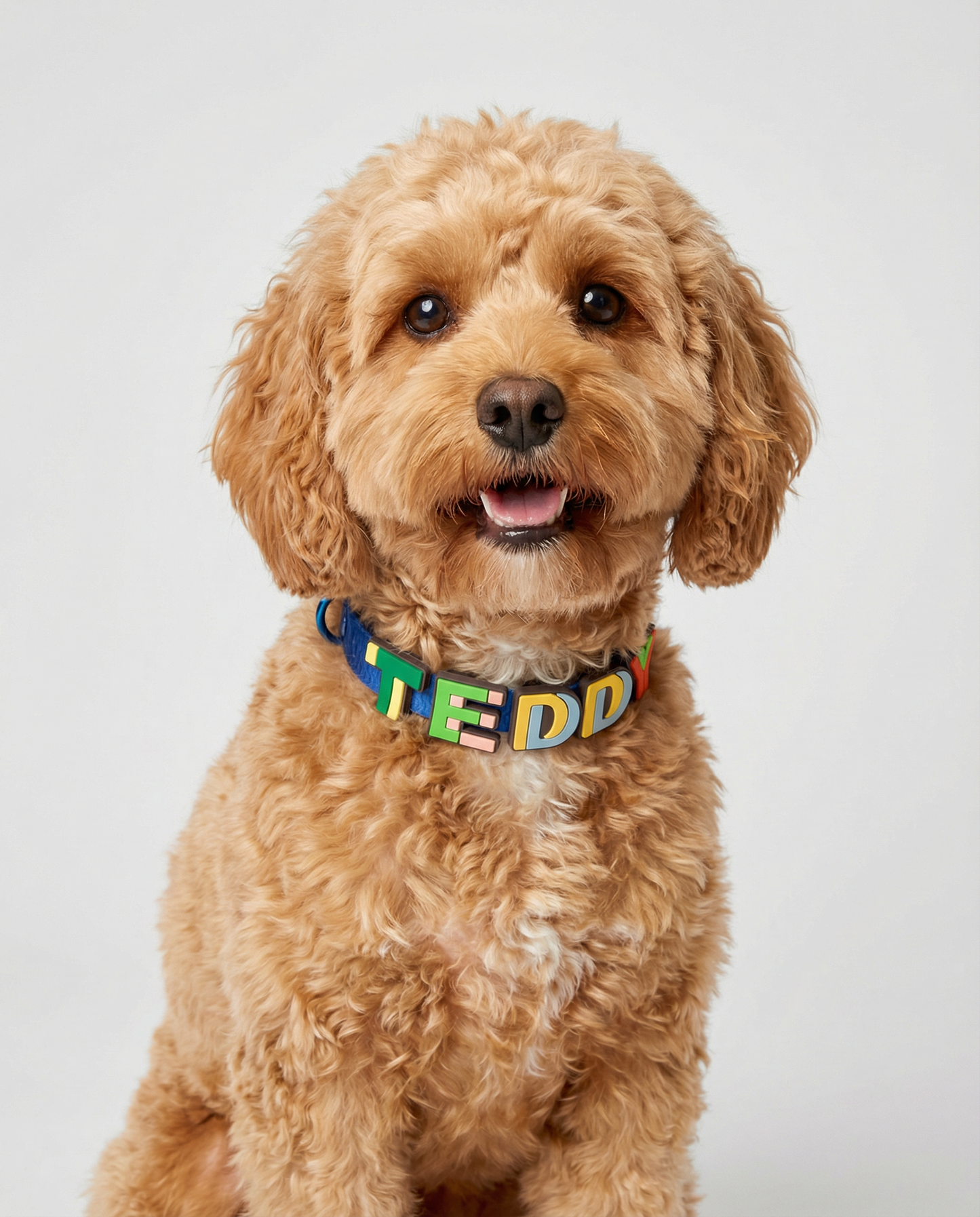 Red Jelly Collar - Waterproof Collar For Small Dogs