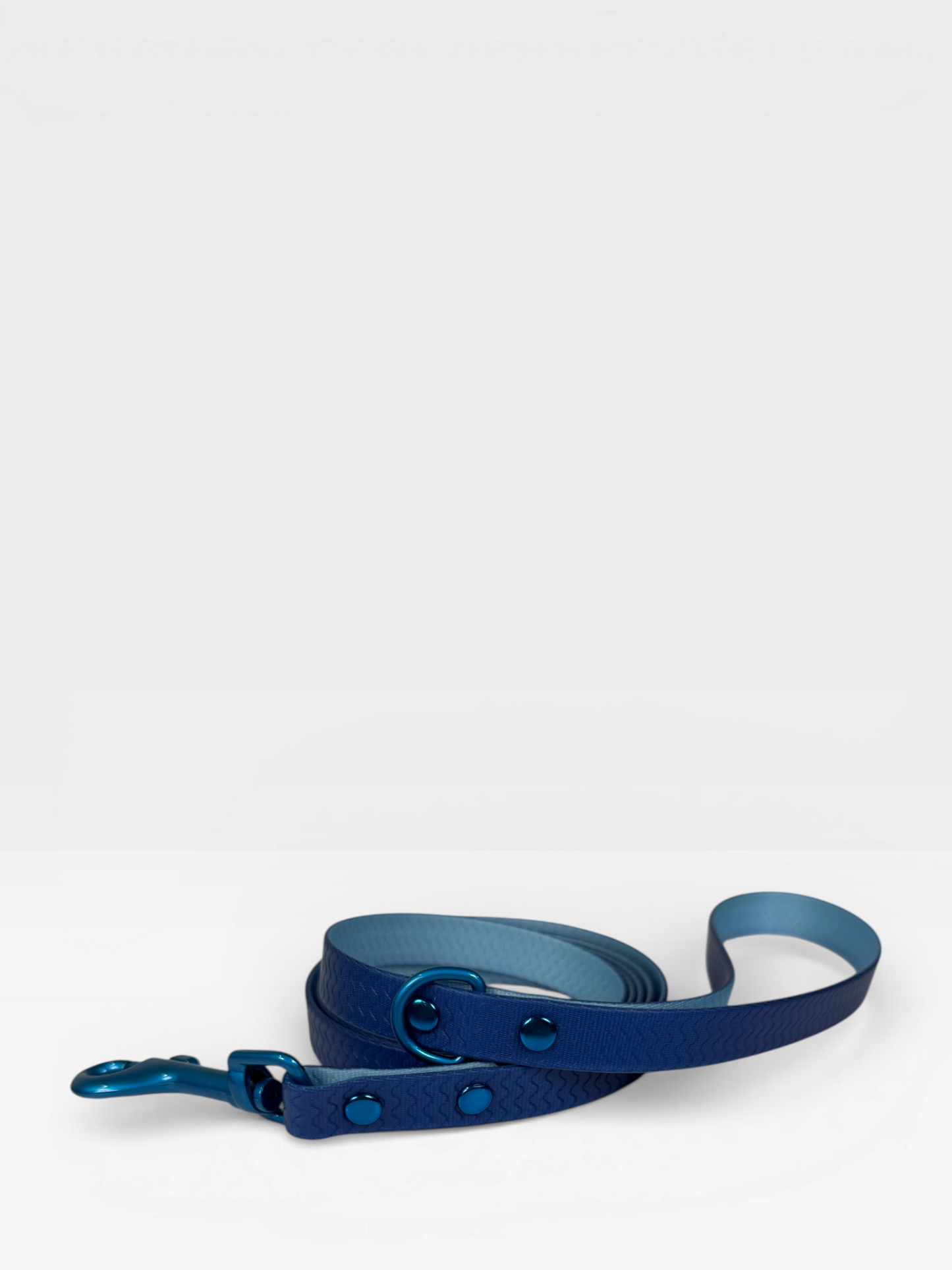 Blue Jelly Leash - Waterproof Leash for Small Dogs