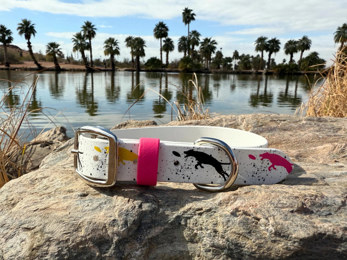 Frisbee Printed Biothane Collar