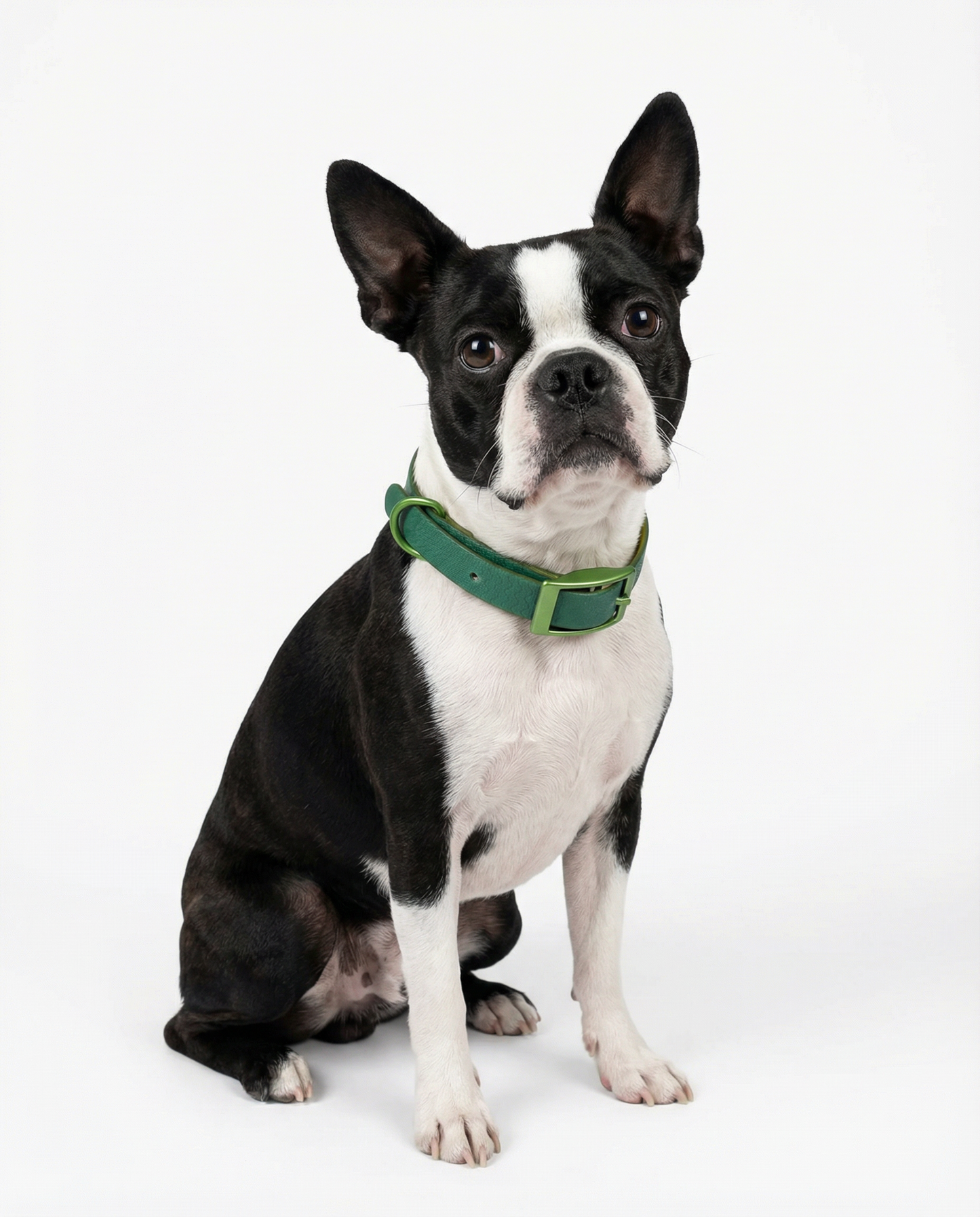 Red Jelly Collar - Waterproof Collar For Small Dogs