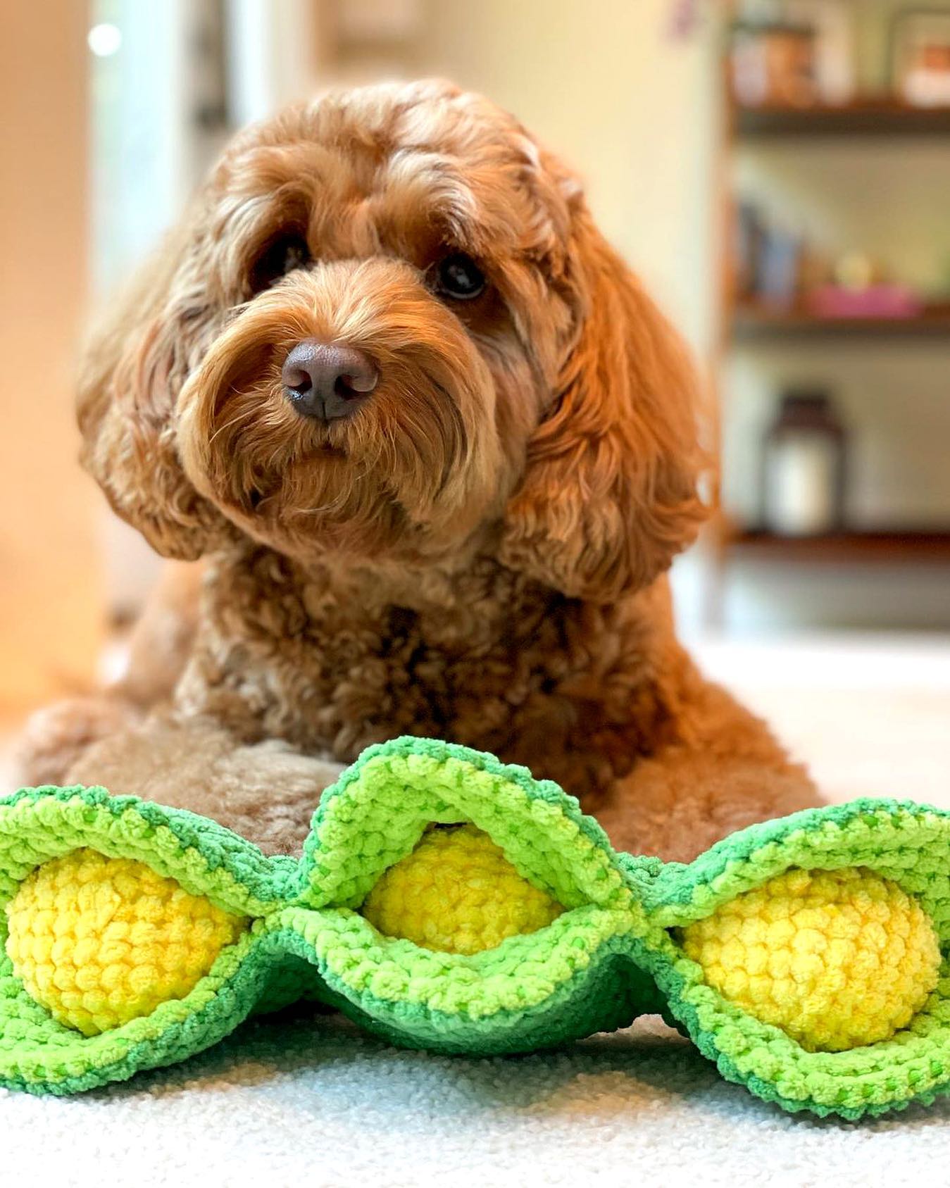 Pea Pod