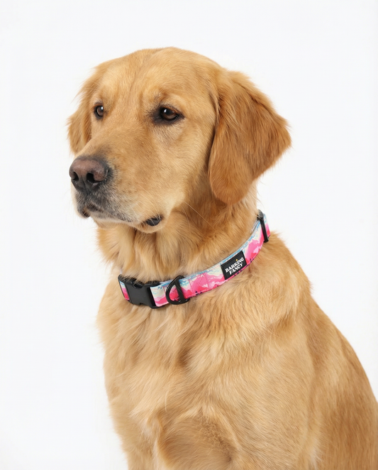 Mountainscape Adjustable Dog Collar - Pink