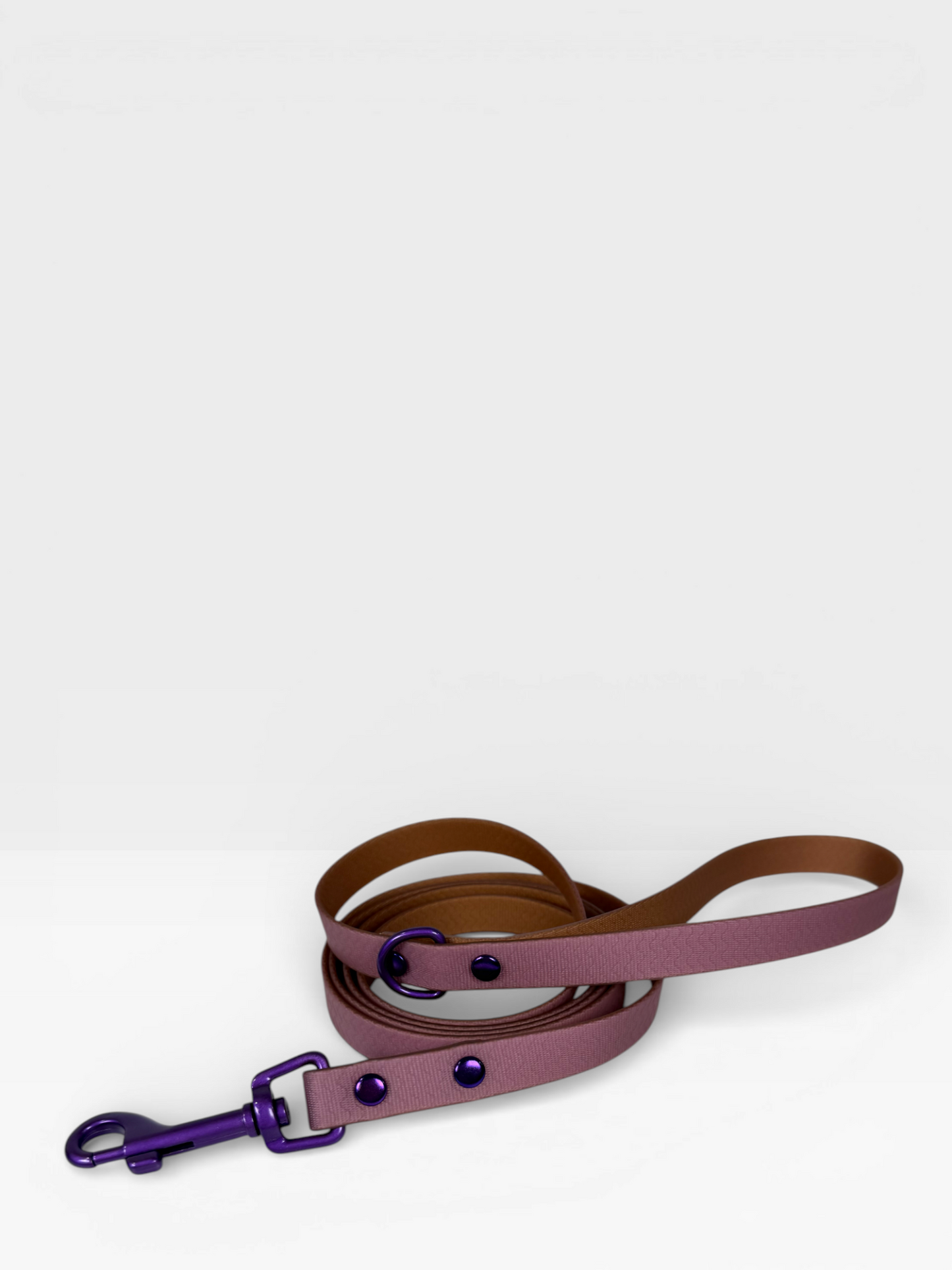 Blue Jelly Leash - Waterproof Leash for Small Dogs