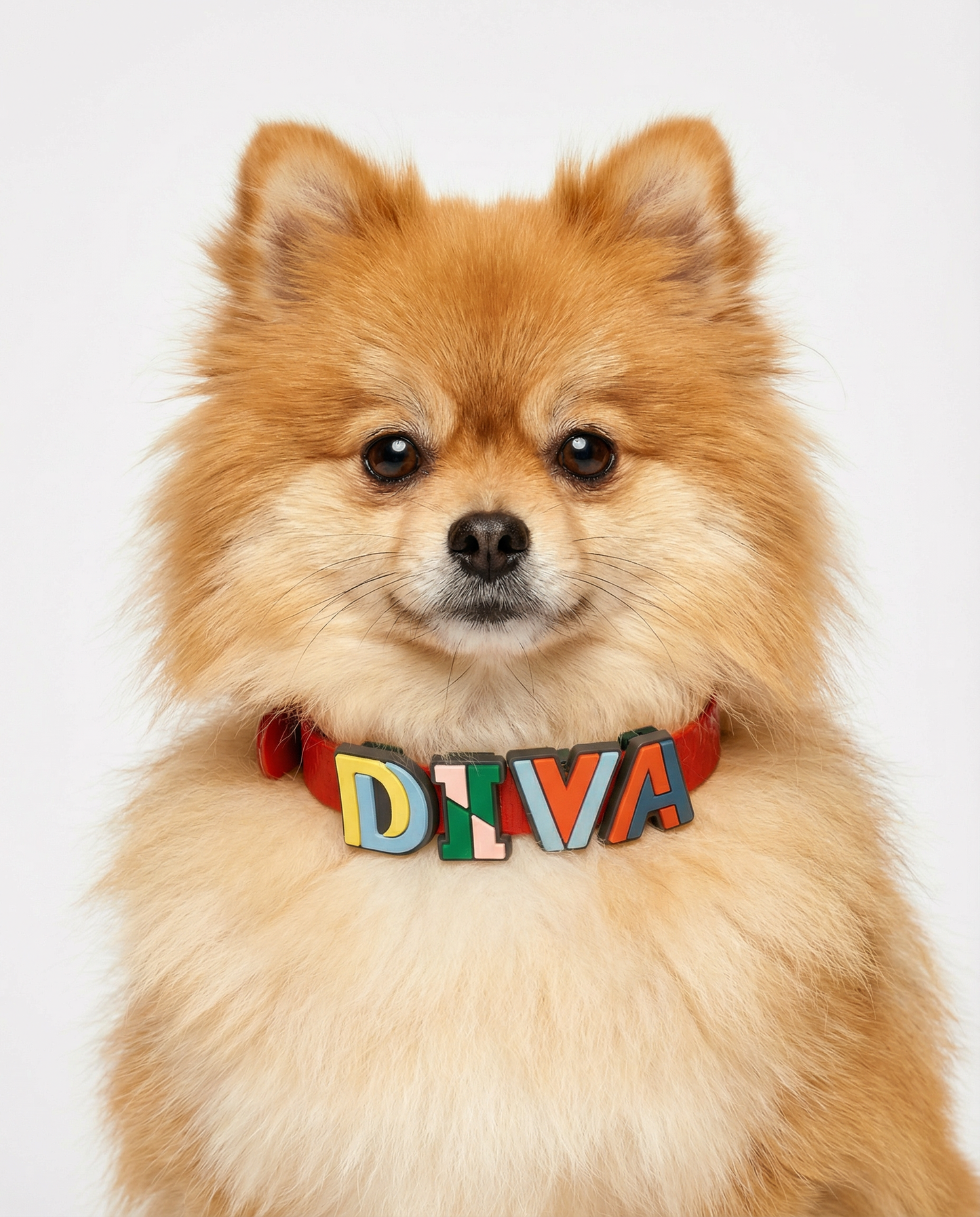 Red Jelly Collar - Waterproof Collar For Small Dogs