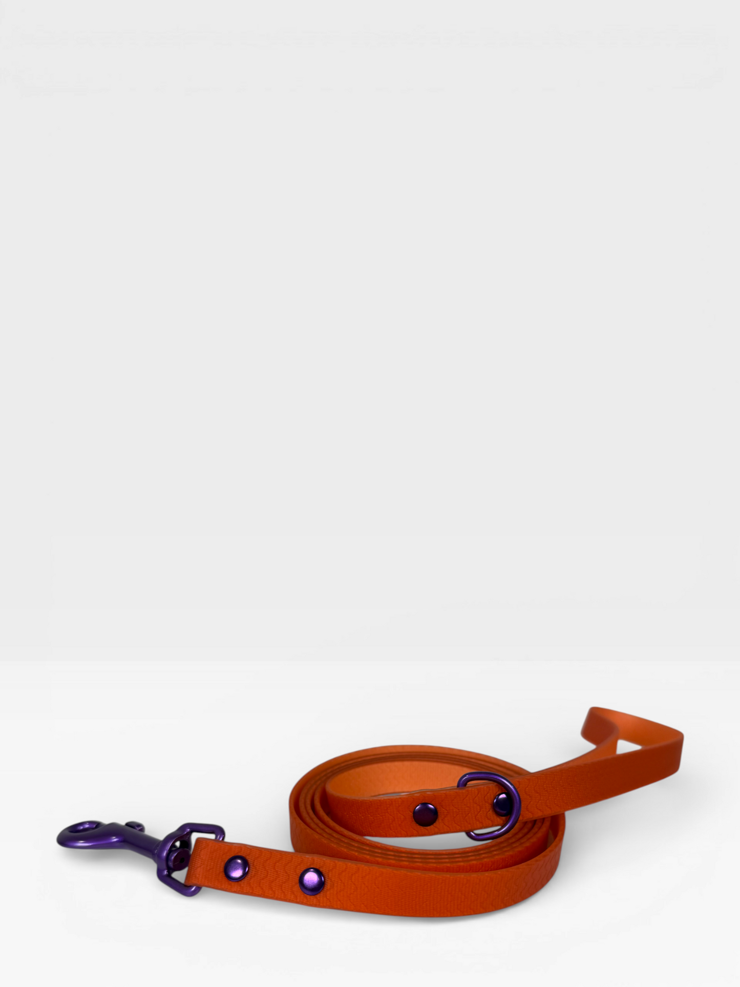 Blue Jelly Leash - Waterproof Leash for Small Dogs