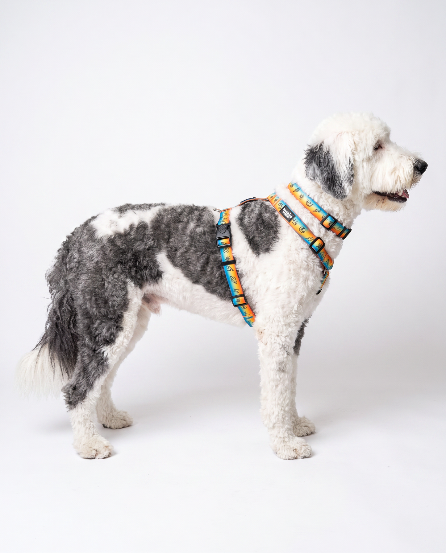 Doodles Print Waterproof Dog Harness - 2 Colors