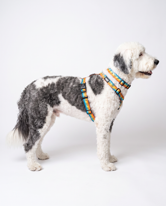 Doodles Print Waterproof Dog Harness - 2 Colors