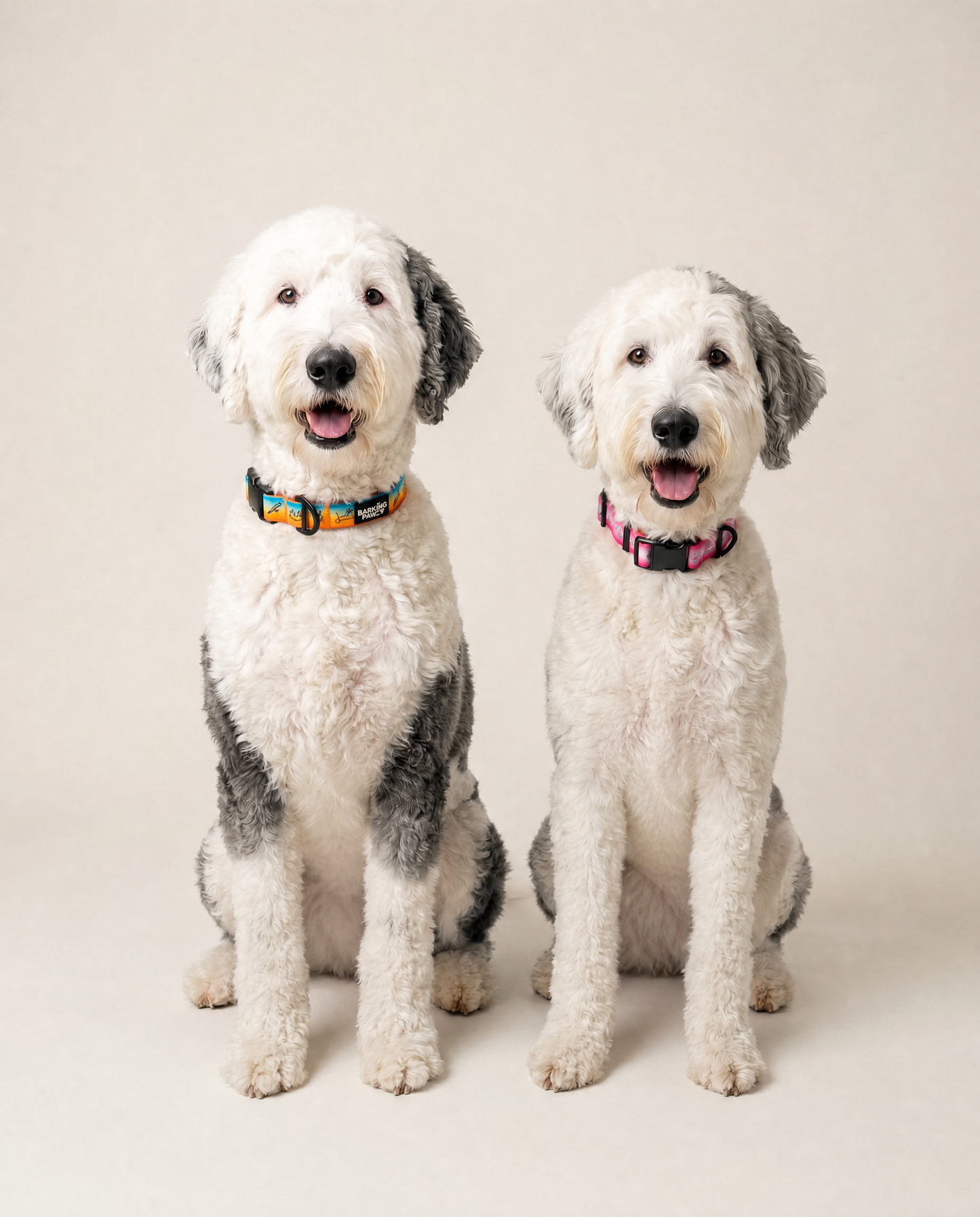 Doodles Print Waterproof Dog Collar - 2 Colors