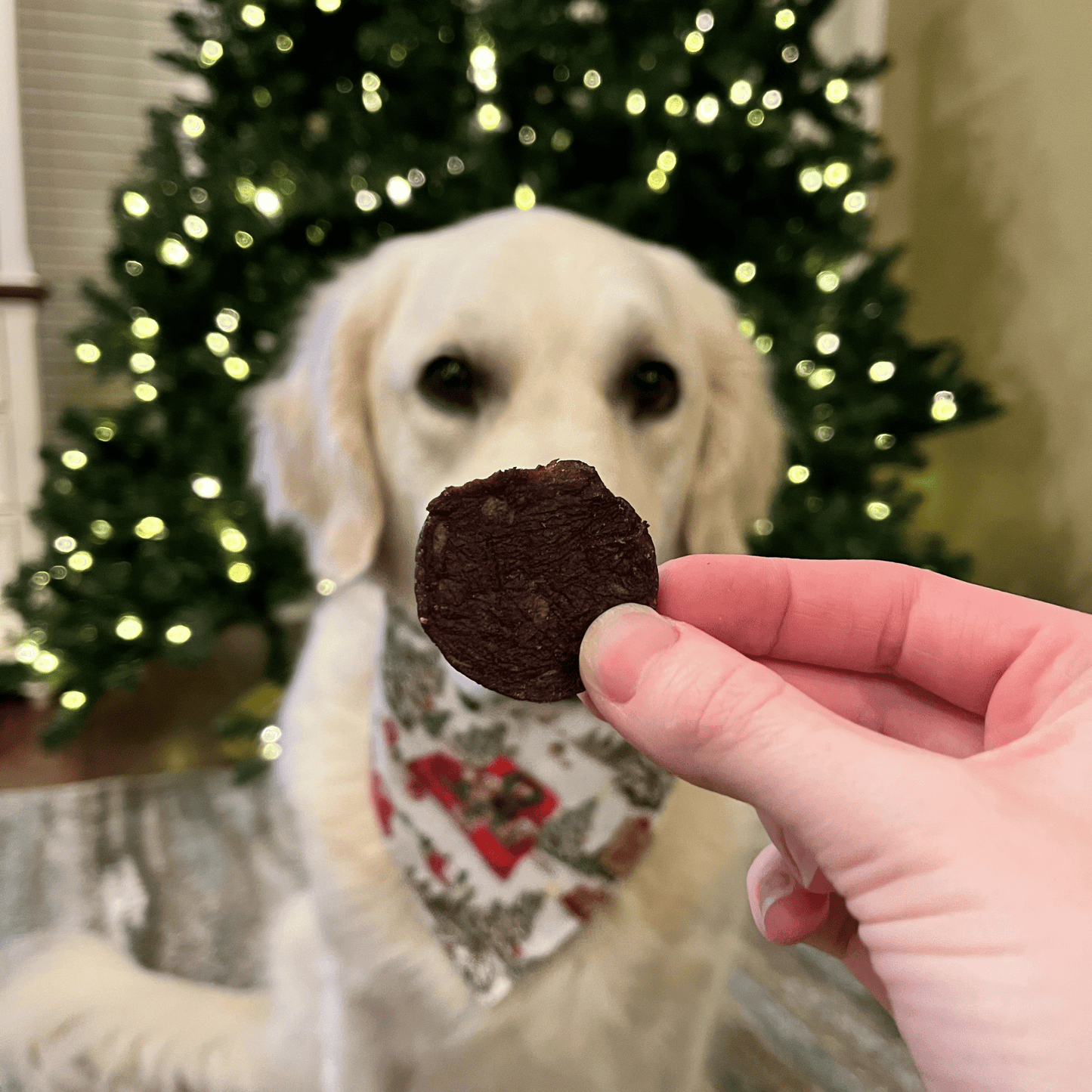 Holiday Chips for Dogs