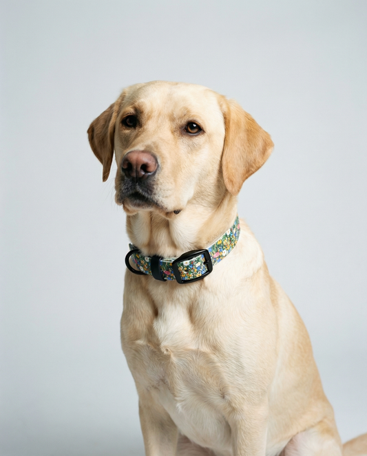 Floral Print Biothane Collar